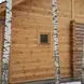 Планкен лиственница прямой 20*142*2500, сорт Прима (0,355м2)