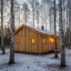 Планкен лиственница скошенный 20*120*6000, сорт SF (0,72м2)